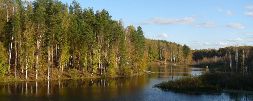 
            Фотография Воронино