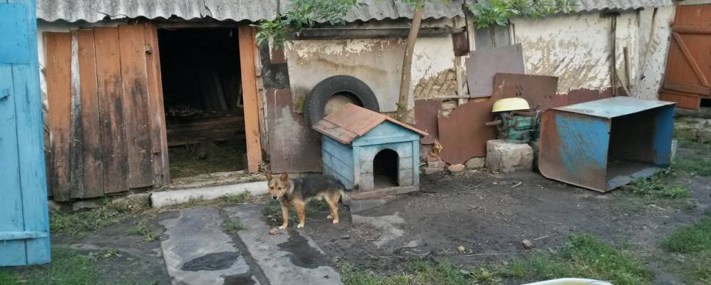 Фотография Гирьи