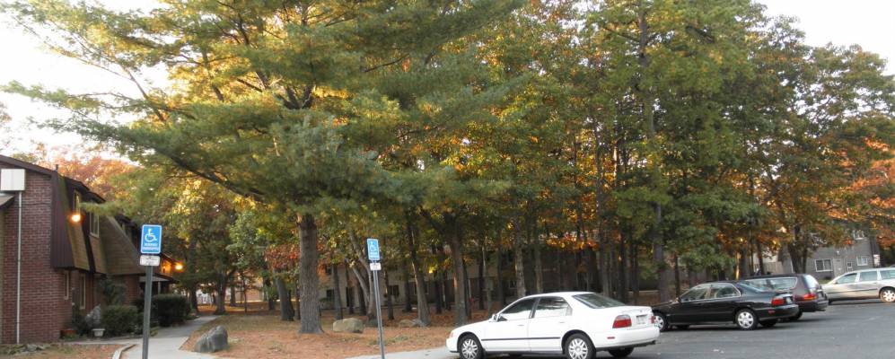 
            Фотография Гордон Хайтса