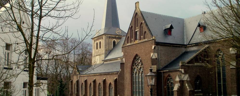 
            Фотография Стейна