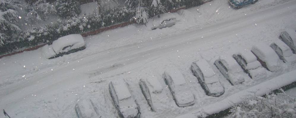 
            Фотография Вилазанты