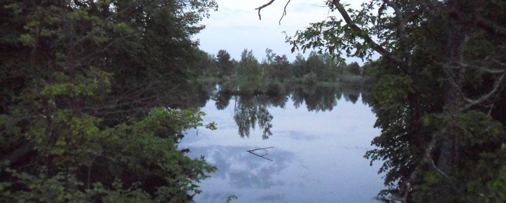 
            Фотография Кокаревки