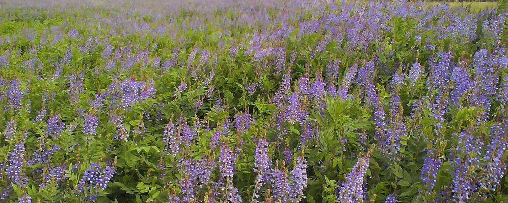 Фотография Игнатьево