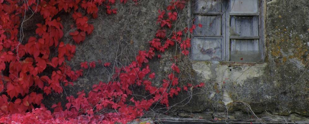 
            Фотография Кальчинаи