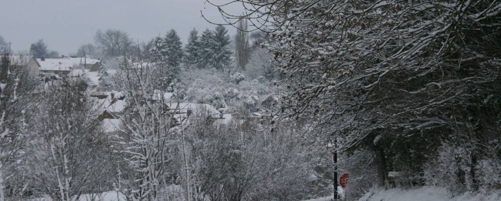 
            Фотография Флеселя