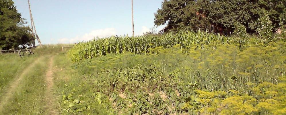 
            Фотография Пьяновичи