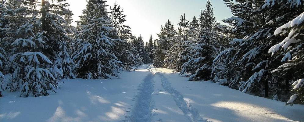 
            Фотография Лопыдино