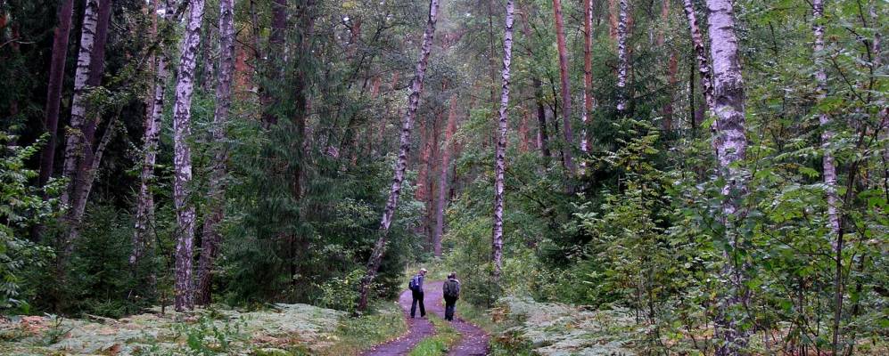 Фотография Родников