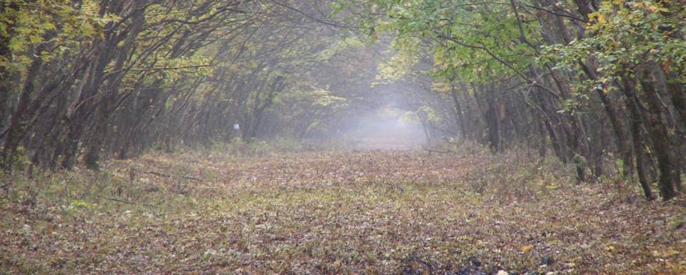 Фотография хутора Цыганки