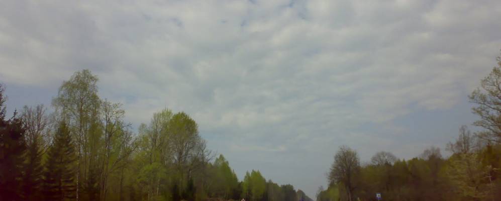 Фотография Дубровки