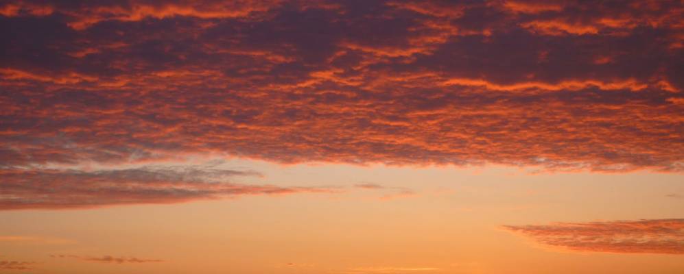 
            Фотография Алфёрово