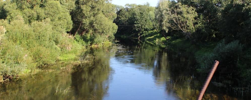 Фотография Полово