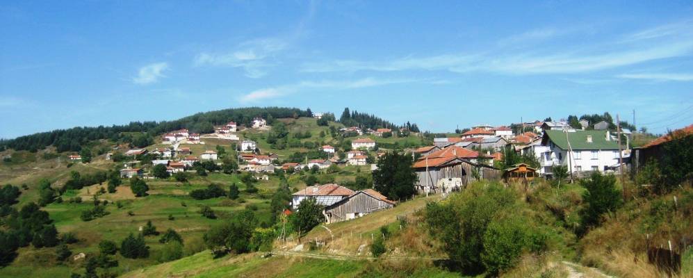 
            Фотография Чала