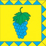 Флаг Винники