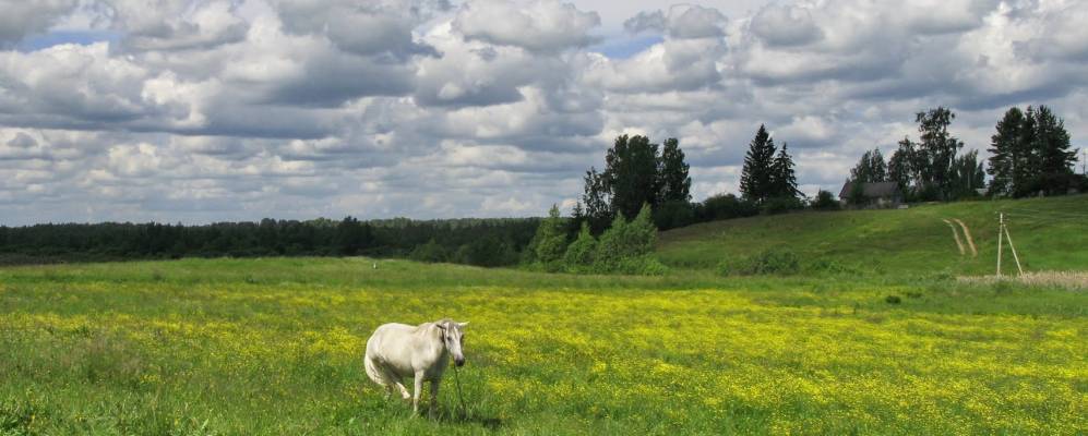 
            Фотография Сошихино