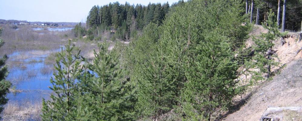 
            Фотография Починка