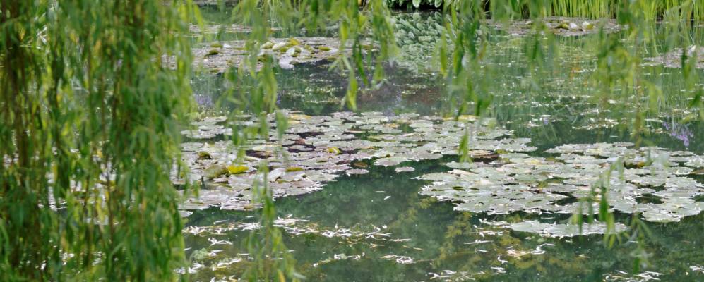 
            Фотография Шамана