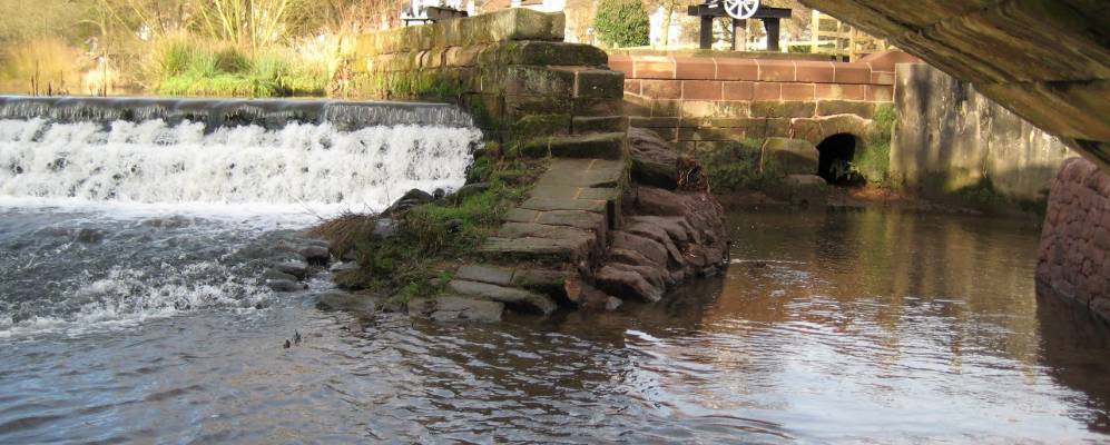 
            Фотография Oakamoor