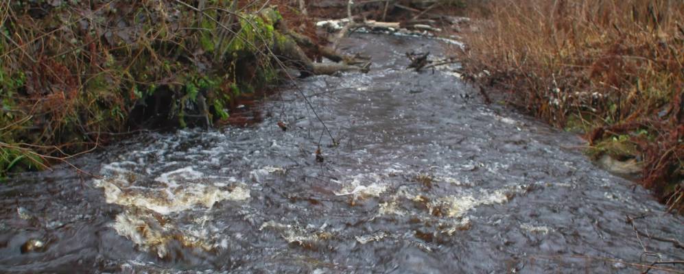 
            Фотография Перелога