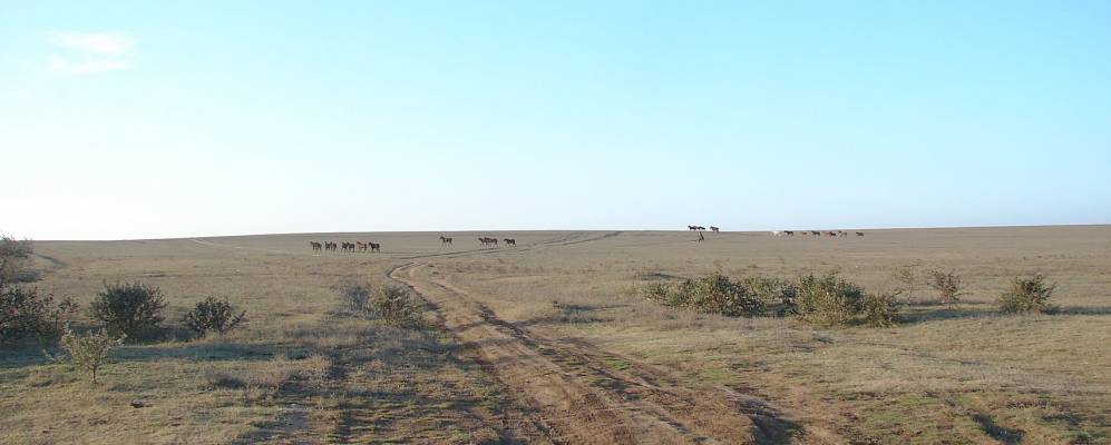 
            Фотография Глинки