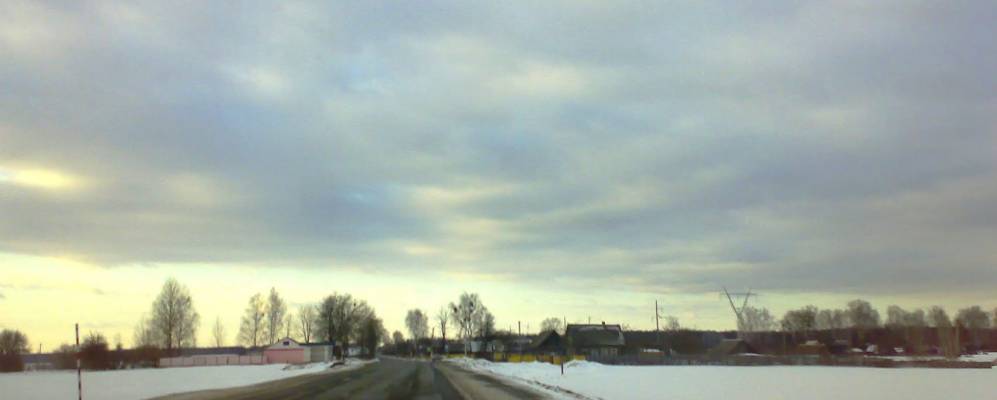 Фотография Сосновки