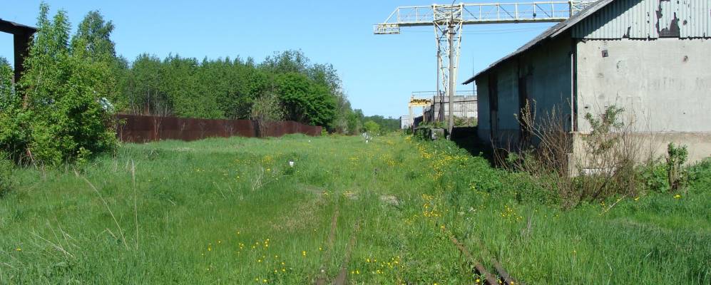 
            Фотография Дмитроково