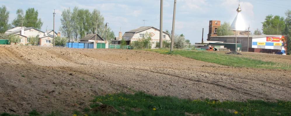 
            Фотография Королевки