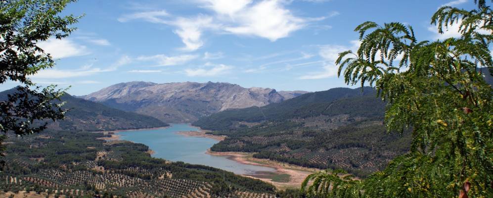 
            Фотография Орнос 