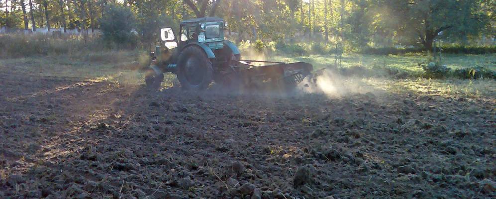 
            Фотография Калиновки