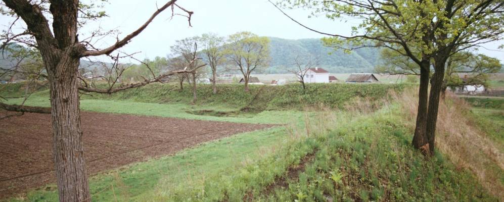 
            Фотография Стеклянухи