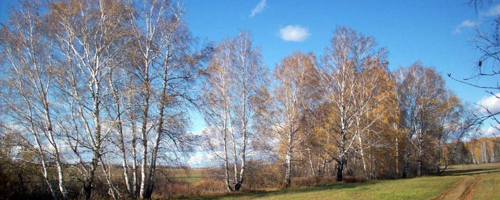 
            Фотография Котлика