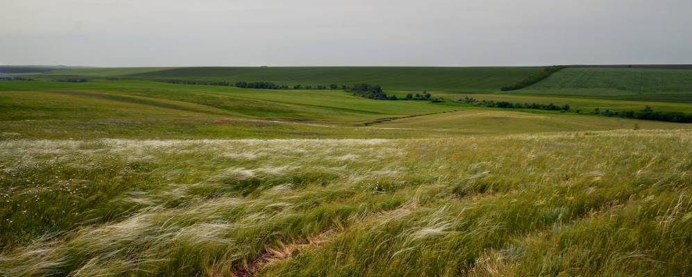 
            Фотография Каировки