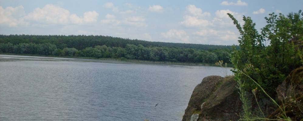 
            Фотография Крутогорба