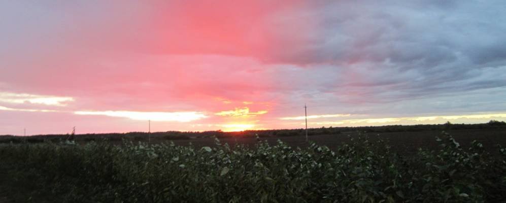 Фотография Трабовщины