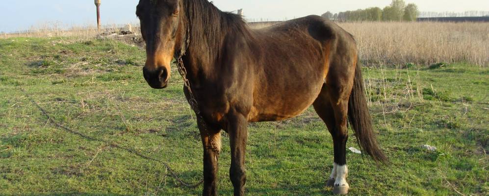 Фотография Даниловки