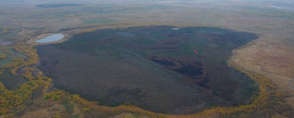 
            Фотография Гуськов