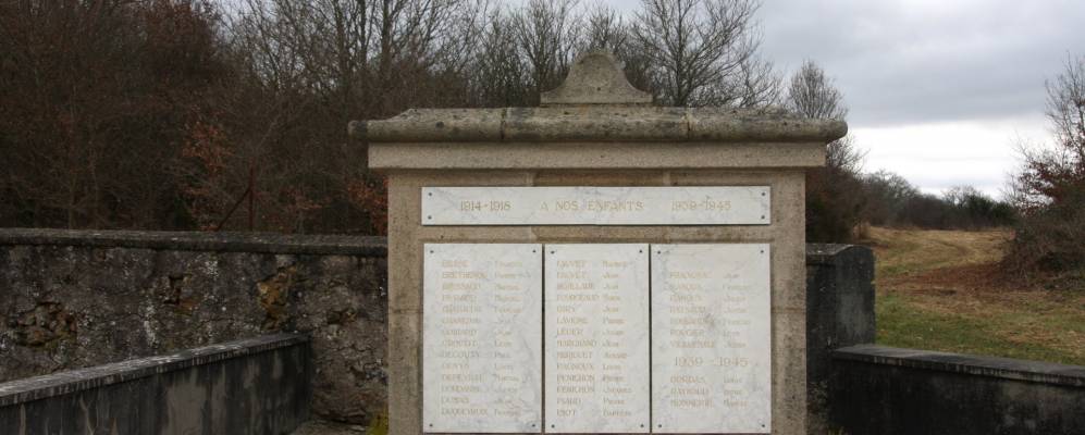 
            Фотография Видекс