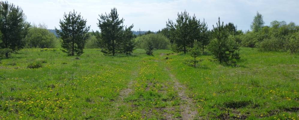 Фотография Ботово