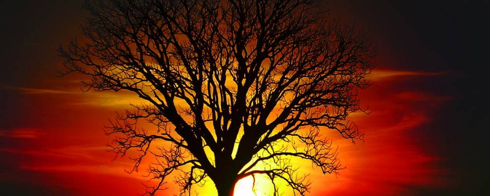 
            Фотография Ибитингы