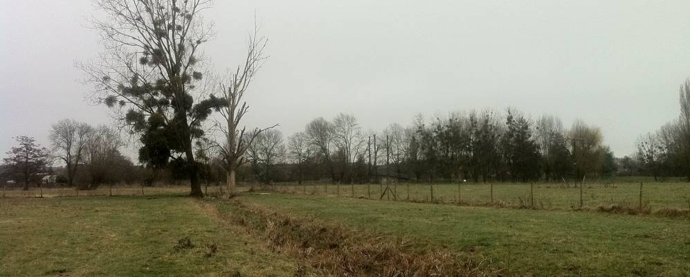 
            Фотография Деоля