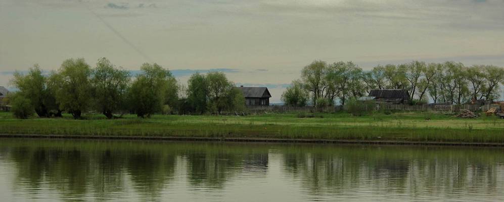 
            Фотография Бизино