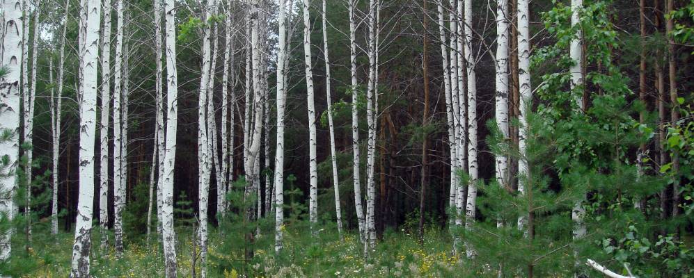 Фотография Ирни