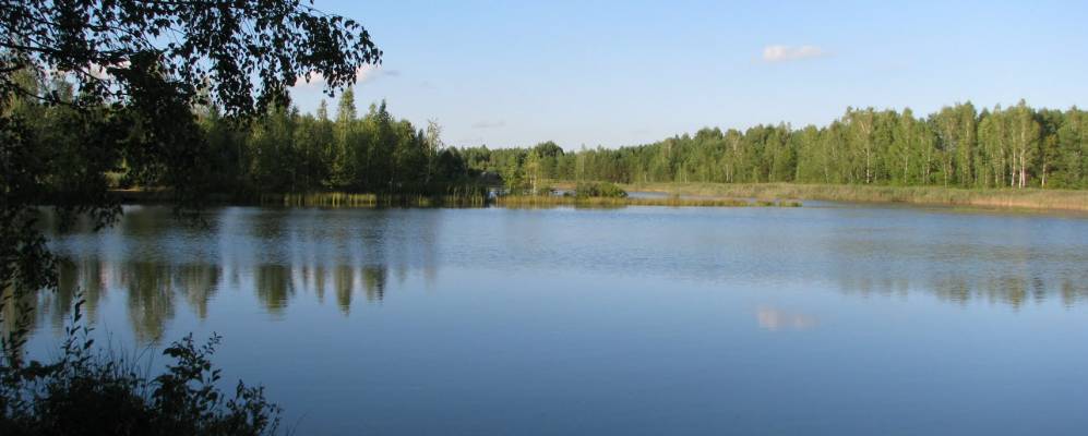 
            Фотография Зубково