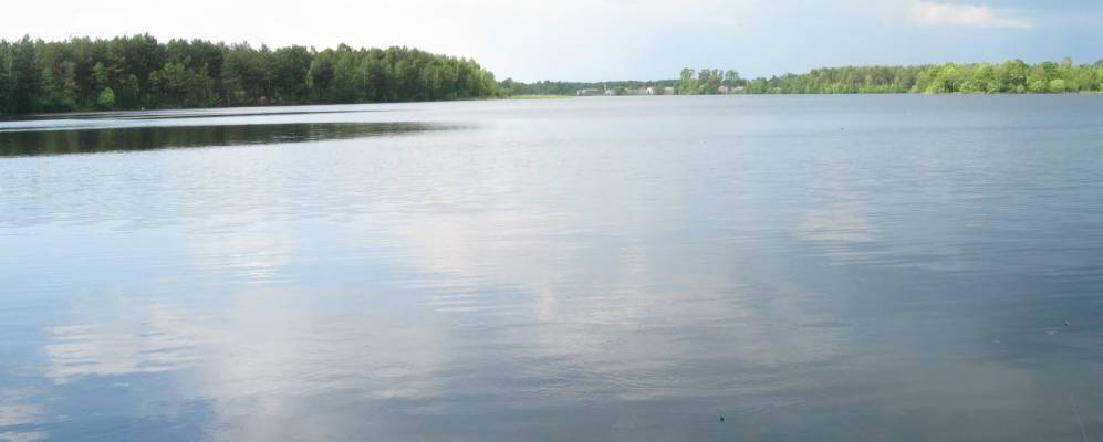 
            Фотография Текли