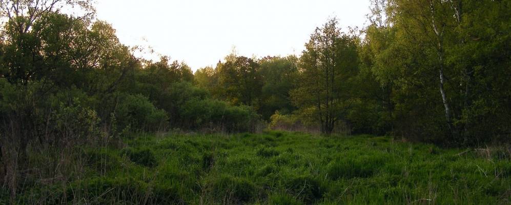 Фотография деревни Шеверничи