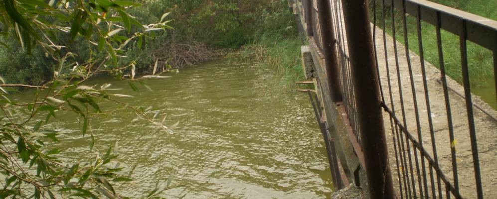 
            Фотография Подостровного