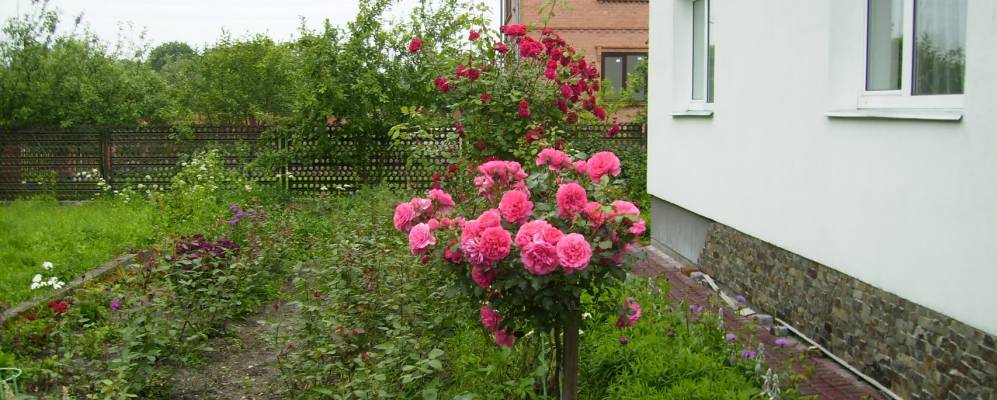 
            Фотография Язловчика