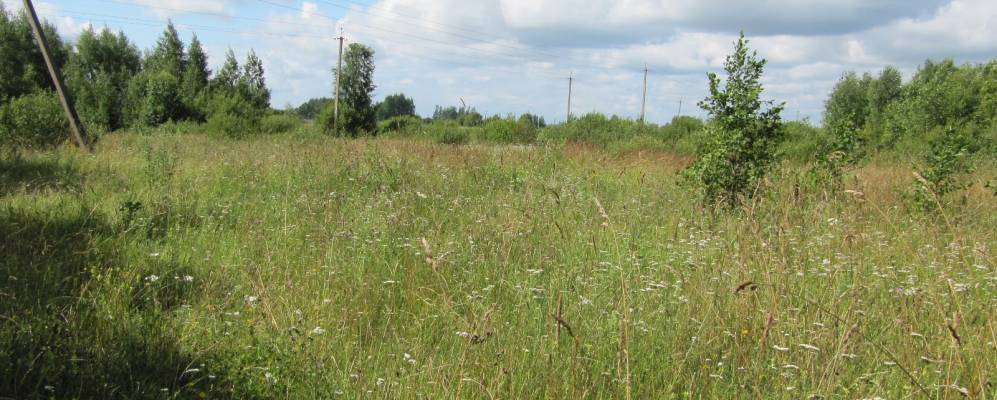 
            Фотография Гарино