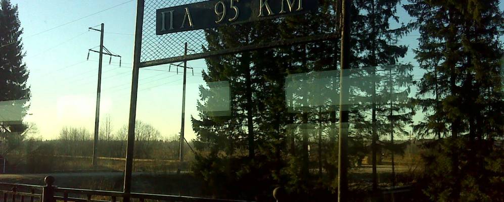 
            Фотография Рынделы