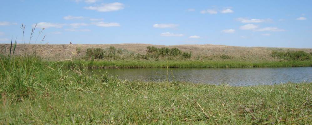 
            Фотография Баймурата